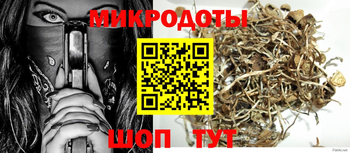 Галлюциногенные грибы мухоморы Тимашёвск
