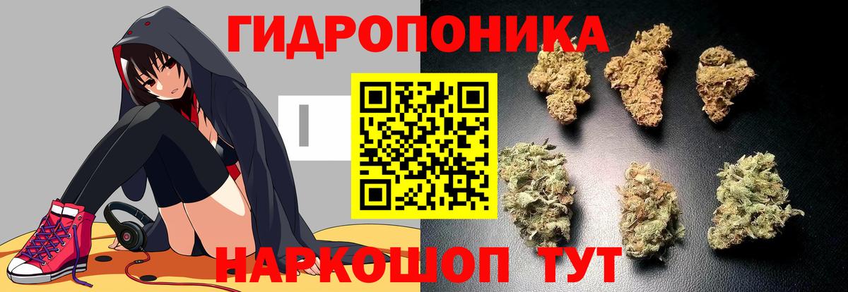 Тимашёвск  Каннабис VHQ  Каннабис марихуана  Бошки марихуана VHQ  Вход с VPN 